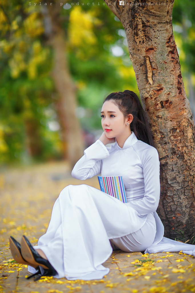 伦理片在线观看韩国